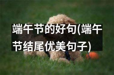 <h3>端午节的好句(端午节结尾优美句子)