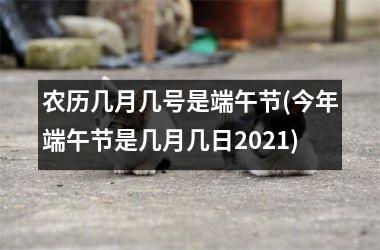 <h3>农历几月几号是端午节(今年端午节是几月几日2025)