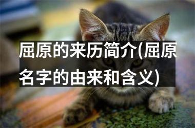 <h3>屈原的来历简介(屈原名字的由来和含义)