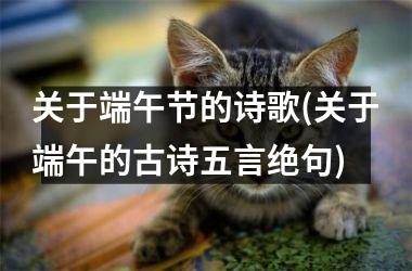 <h3>关于端午节的诗歌(关于端午的古诗五言绝句)
