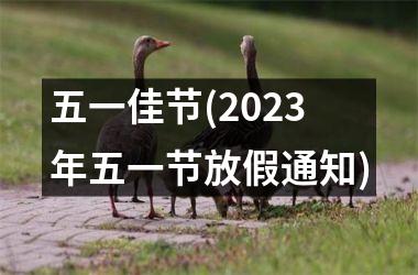 五一佳节(2023年五一节放假通知)