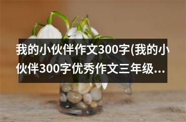 <h3>我的小伙伴作文300字(我的小伙伴300字优秀作文三年级)