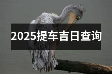 <h3>2025提车吉日查询