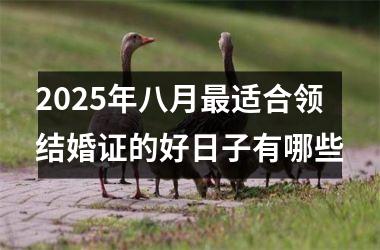 2025年八月最适合领结婚证的好日子有哪些