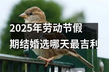 <h3>2025年劳动节假期结婚选哪天最吉利