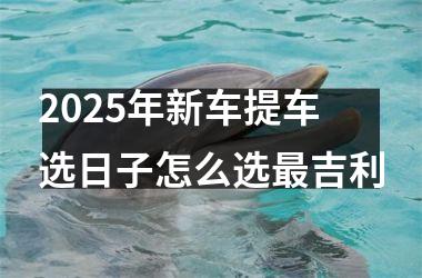 <h3>2025年新车提车选日子怎么选最吉利