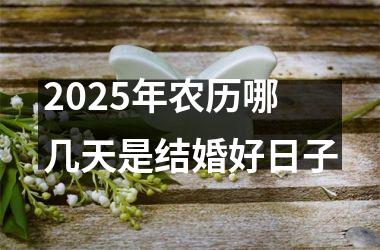 <h3>2025年农历哪几天是结婚好日子