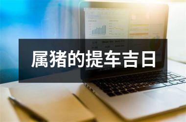 <h3>属猪的提车吉日