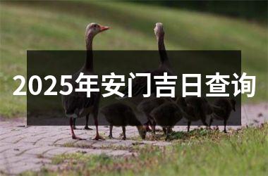 2025年安门吉日查询