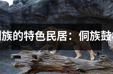 <h3>侗族的特色民居：侗族鼓楼