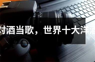 <h3>对酒当歌，世界十大洋酒