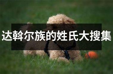 <h3>达斡尔族的姓氏大搜集
