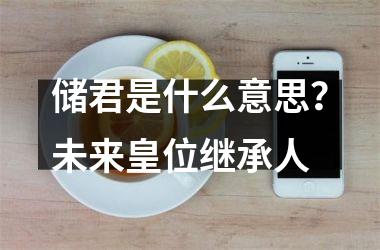 <h3>储君是什么意思？未来皇位继承人
