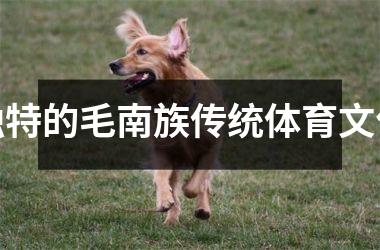 <h3>独特的毛南族传统体育文化