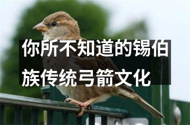 <h3>你所不知道的锡伯族传统弓箭文化