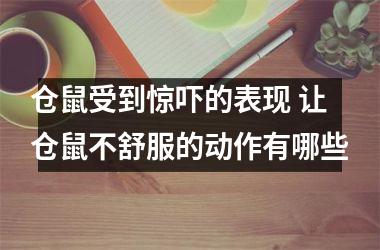 仓鼠受到惊吓的表现 让仓鼠不舒服的动作有哪些