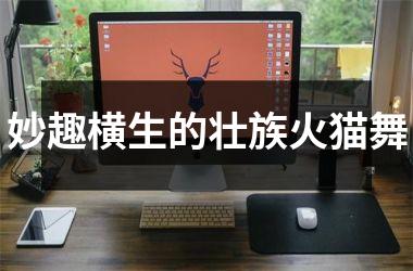 <h3>妙趣横生的壮族火猫舞