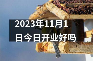 <h3>2025年11月1日今日开业好吗
