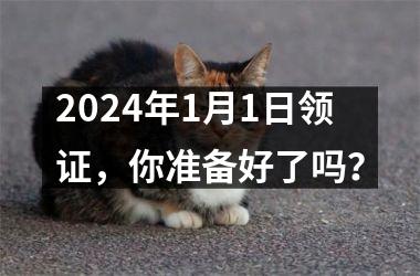 2024年1月1日领证，你准备好了吗？