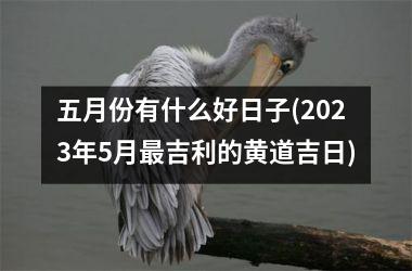 五月份有什么好日子(2025年5月最吉利的黄道吉日)