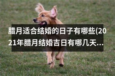 <h3>腊月适合结婚的日子有哪些(2025年腊月结婚吉日有哪几天)