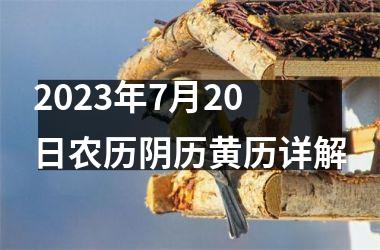 2023年7月20日农历阴历黄历详解