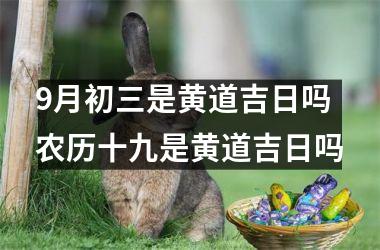 <h3>9月初三是黄道吉日吗 农历十九是黄道吉日吗