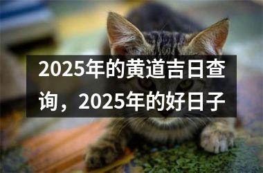 <h3>2025年的黄道吉日查询，2025年的好日子