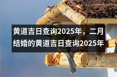 <h3>黄道吉日查询2025年，二月结婚的黄道吉日查询2025年