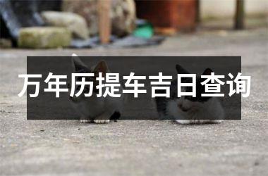 <h3>万年历提车吉日查询