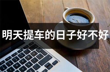 明天提车的日子好不好