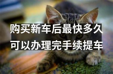 <h3>购买新车后最快多久可以办理完手续提车