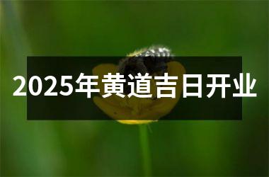 <h3>2025年黄道吉日开业