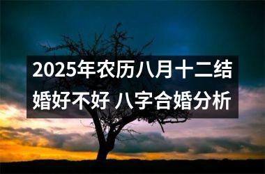 <h3>2025年农历八月十二结婚好不好 八字合婚分析