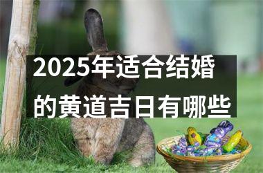 2025年适合结婚的黄道吉日有哪些
