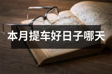 <h3>本月提车好日子哪天