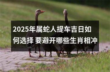 <h3>2025年属蛇人提车吉日如何选择 要避开哪些生肖相冲