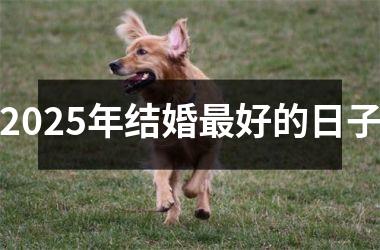 2025年结婚最好的日子