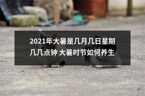 2021年大暑是几月几日星期几几点钟大暑时节如何养生