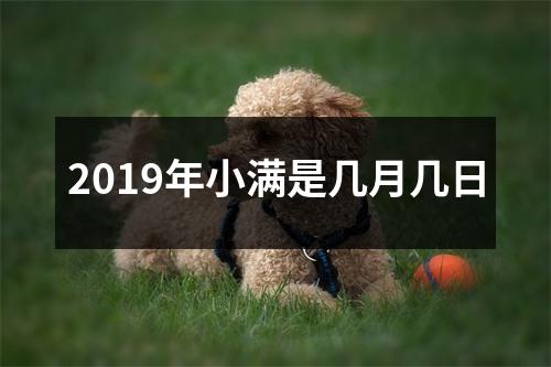 <h3>2019年小满是几月几日