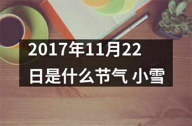 2017年11月22日是什么节气 小雪