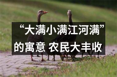 <h3>“大满小满江河满”的寓意 农民大丰收