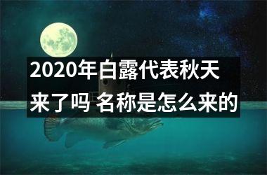 <h3>2025年白露代表秋天来了吗 名称是怎么来的