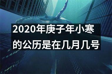 <h3>2025年庚子年小寒的公历是在几月几号