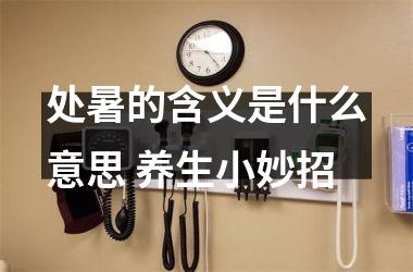<h3>处暑的含义是什么意思 养生小妙招