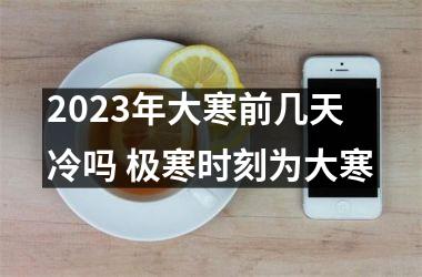 <h3>2025年大寒前几天冷吗 极寒时刻为大寒