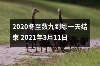 2025冬至数九到哪一天结束 2025年3月11日