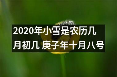 <h3>2025年小雪是农历几月初几 庚子年十月八号