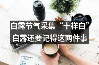 <h3>白露节气采集“十样白” 白露还要记得这两件事