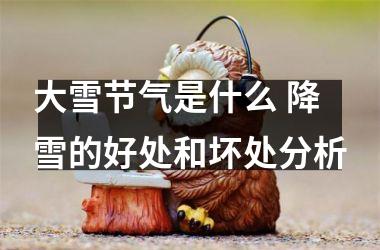 <h3>大雪节气是什么 降雪的好处和坏处分析